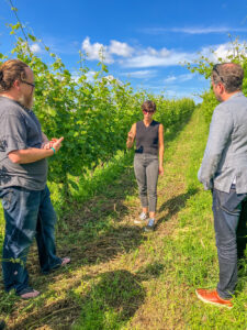 Your Journey in Wine Starts Here - The Court of Master Sommeliers Americas